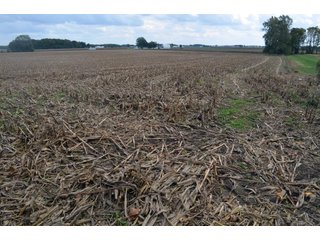 Property photo 22 - EHLE FARMS AUCTION - 118+/- ACRES IN 9 TRACTS IN ALLEN COUNTY, INDIANA